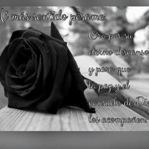 Meet your Posher, Raquel y joaquin